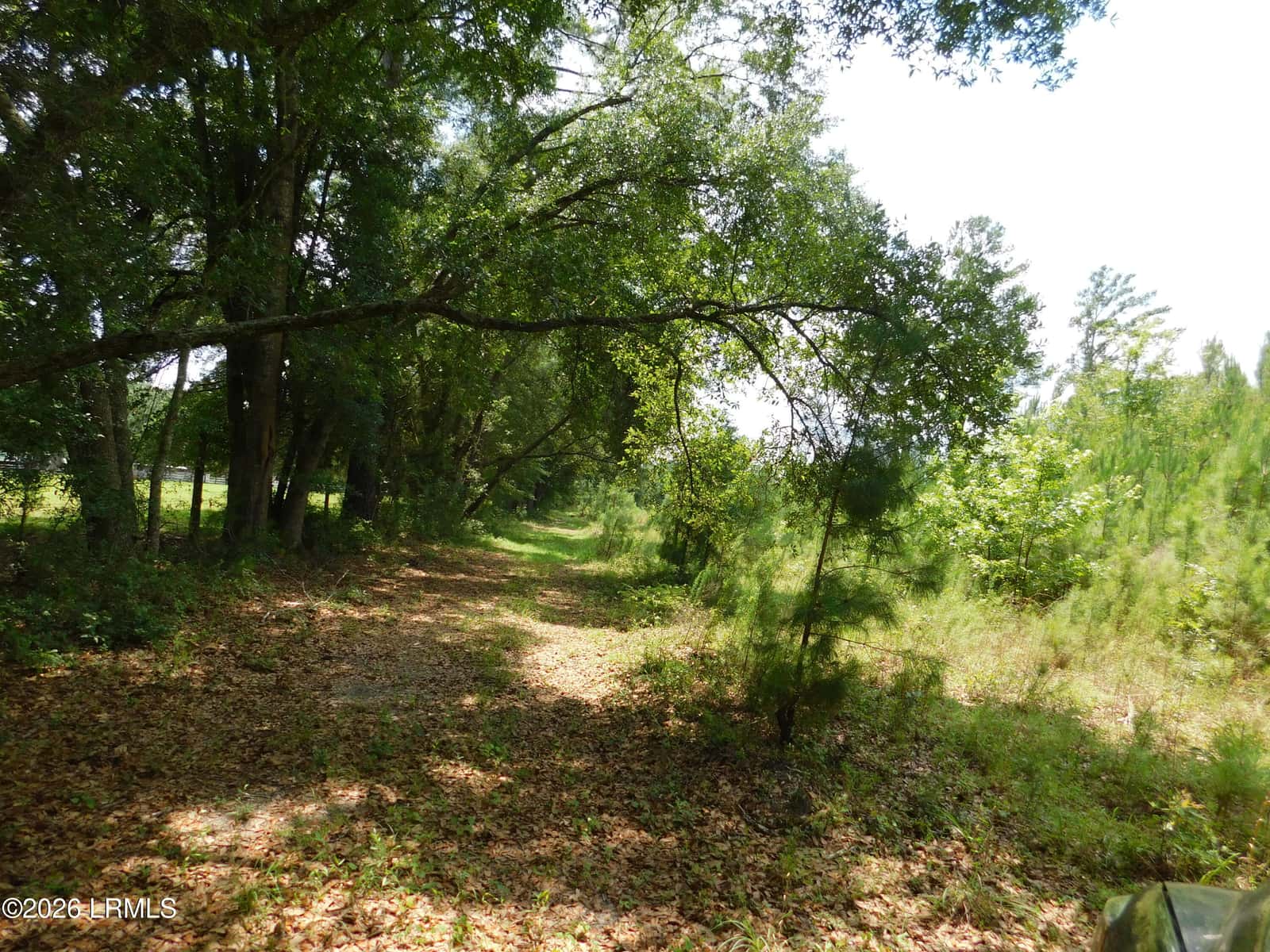 Tbd Gillison Branch Road, Ridgeland, SC 29936 — photo 2 of 17