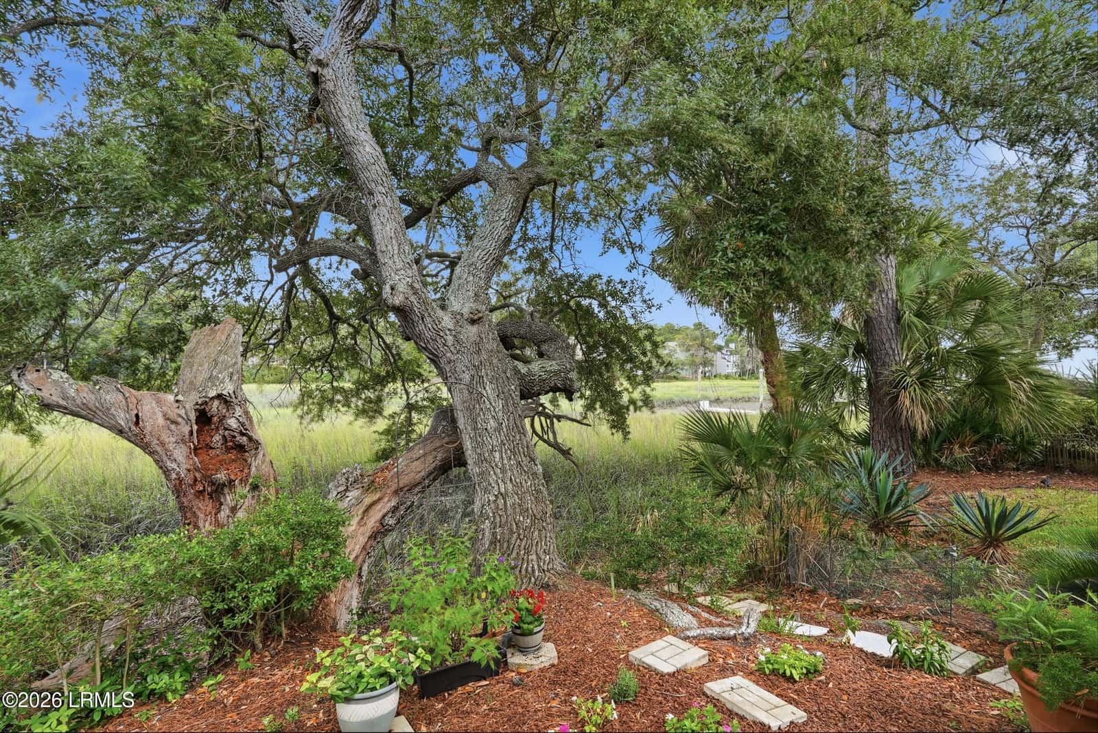 2 William Hilton Parkway 407, Hilton Head Island, SC 29926 — photo 24 of 54