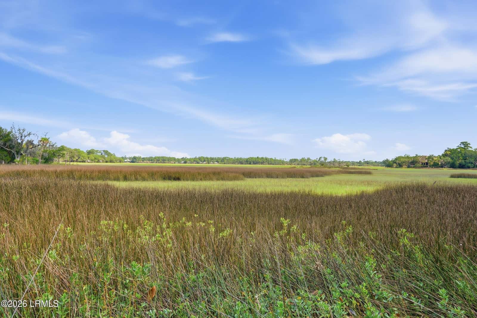 7 Peninsula Drive, Hilton Head Island, SC 29926 — photo 71 of 100