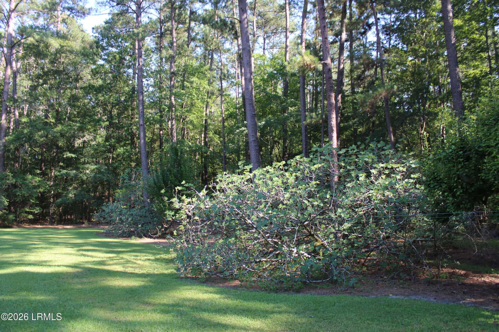 6054 Yemassee Highway, Varnville, SC 29944 — photo 24 of 26