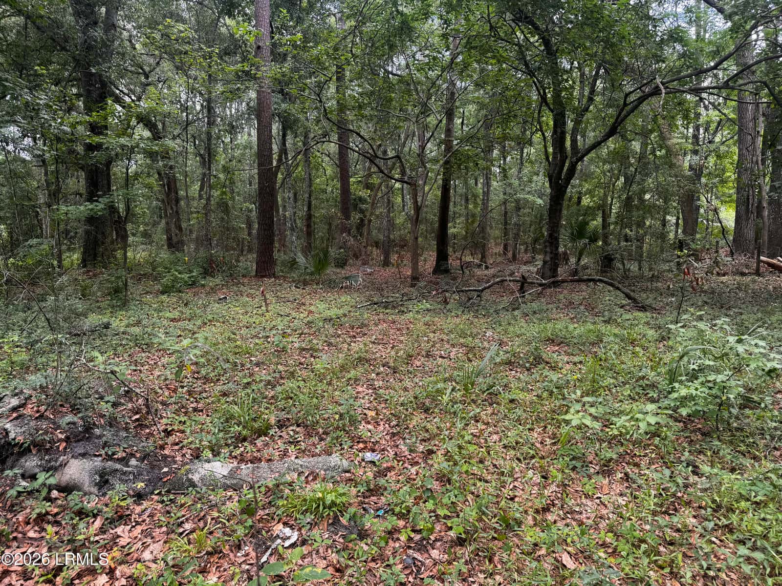43 Pine Grove Road, Beaufort, SC 29906 — photo 1 of 4