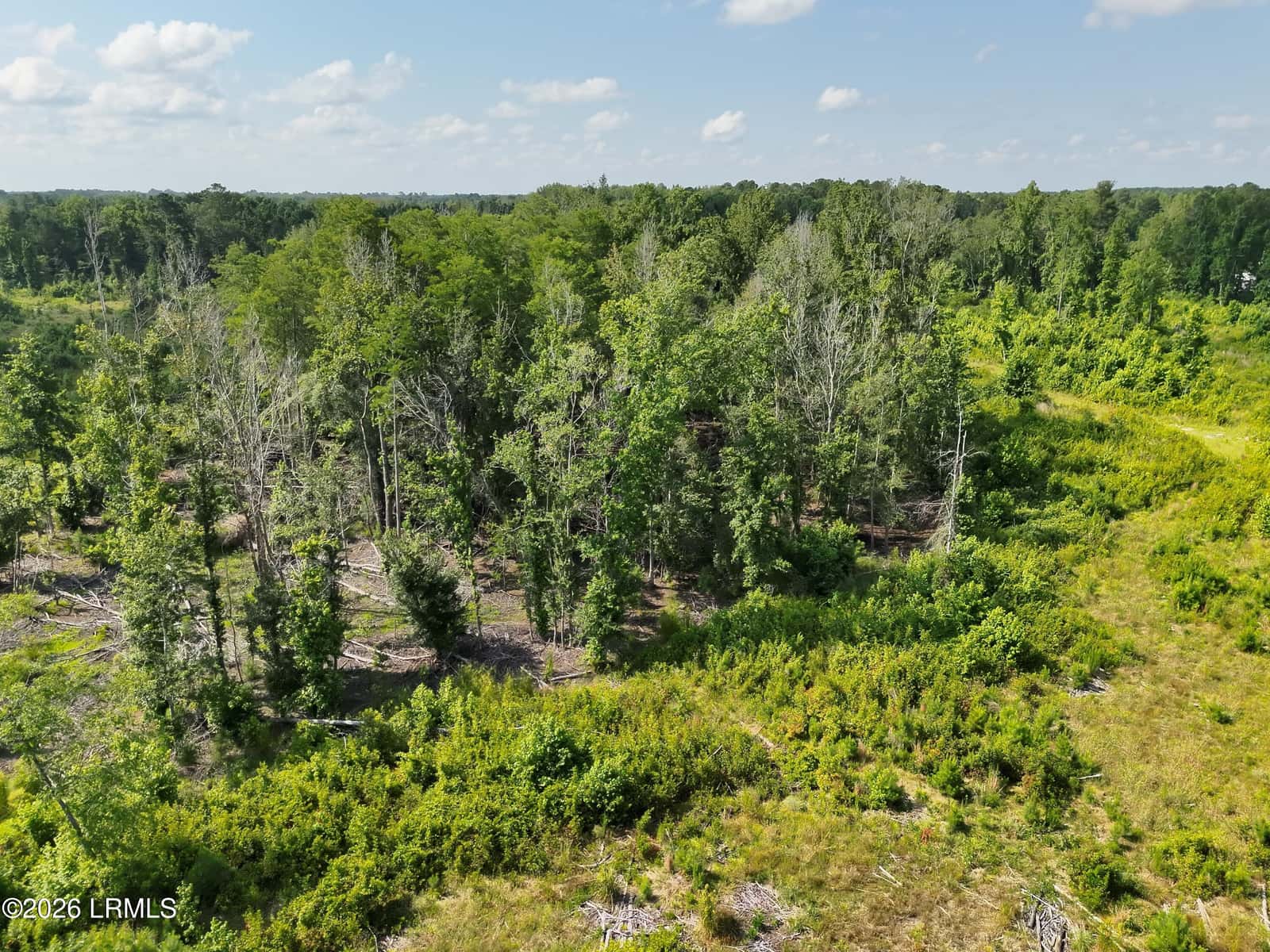 Tbd Hunters Chapel Road, Bamberg, SC 29003 — photo 5 of 14