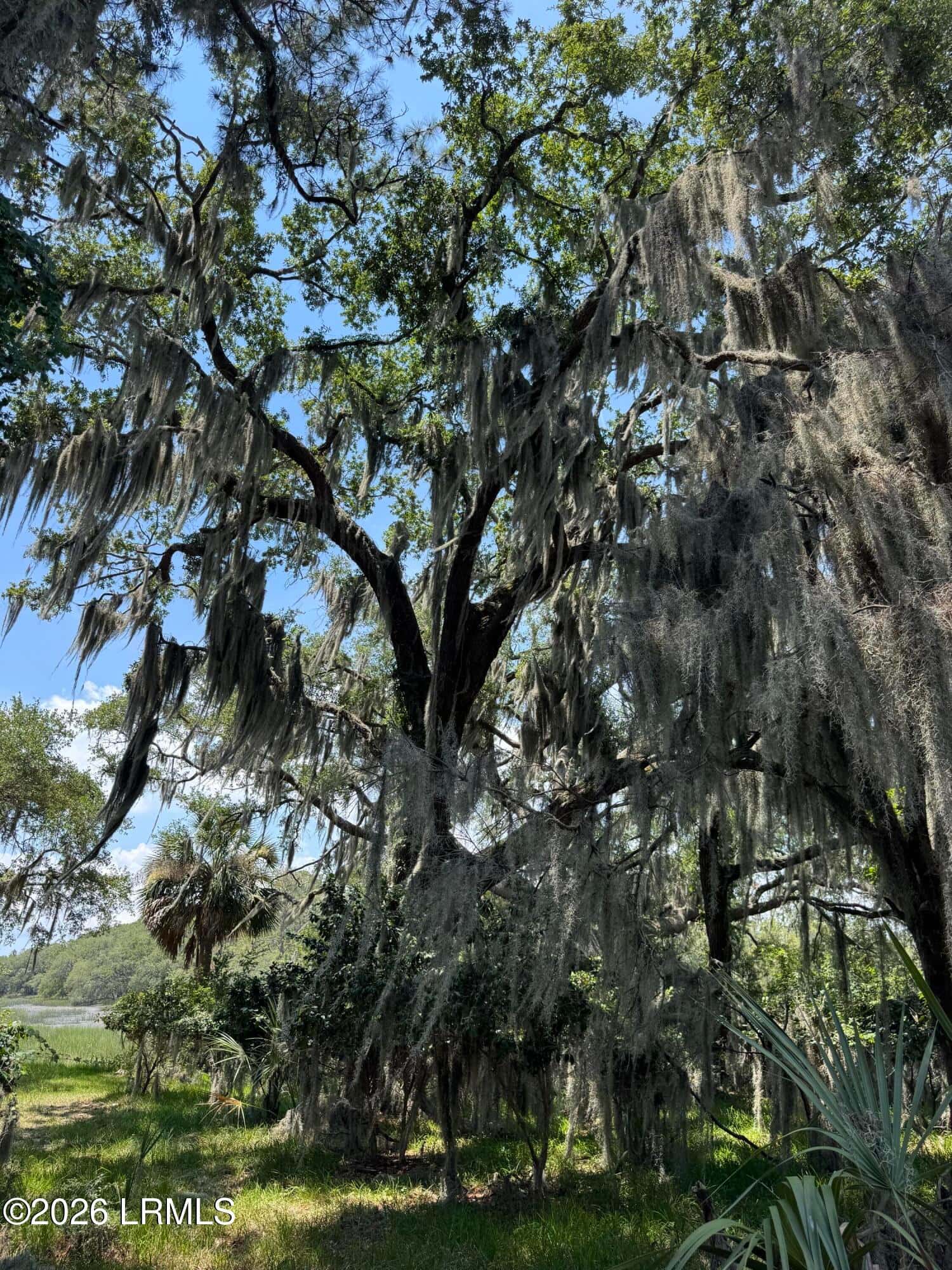 418 Broad River Drive, Beaufort, SC 29906 — photo 8 of 9