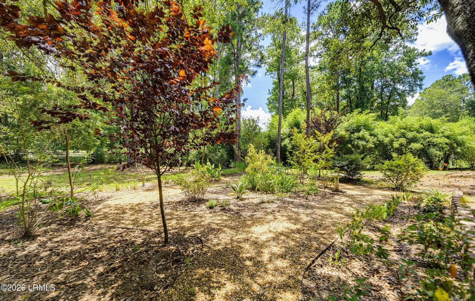 8 Gator Lane, Beaufort, SC 29907 — photo 62 of 67