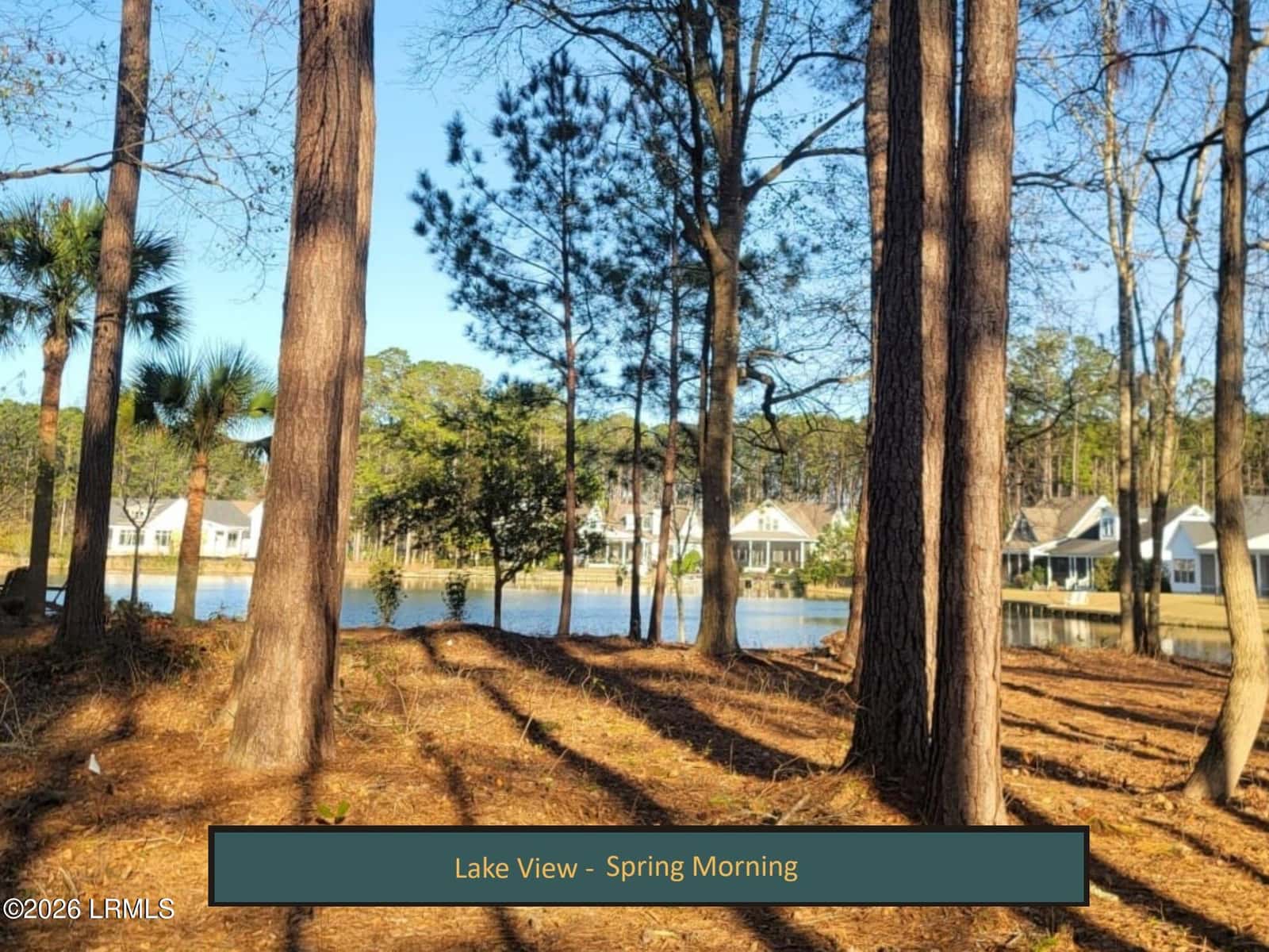 450 Hampton Lake Drive, Bluffton, SC 29910 — photo 3 of 44
