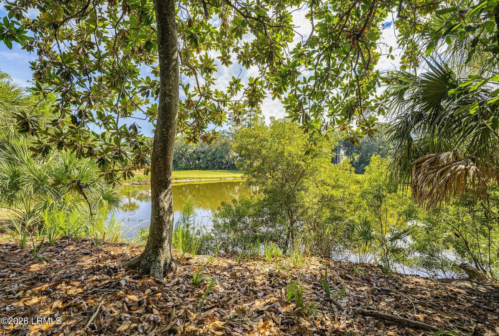 12 Davis Love Drive, Fripp Island, SC 29920 — photo 6 of 55