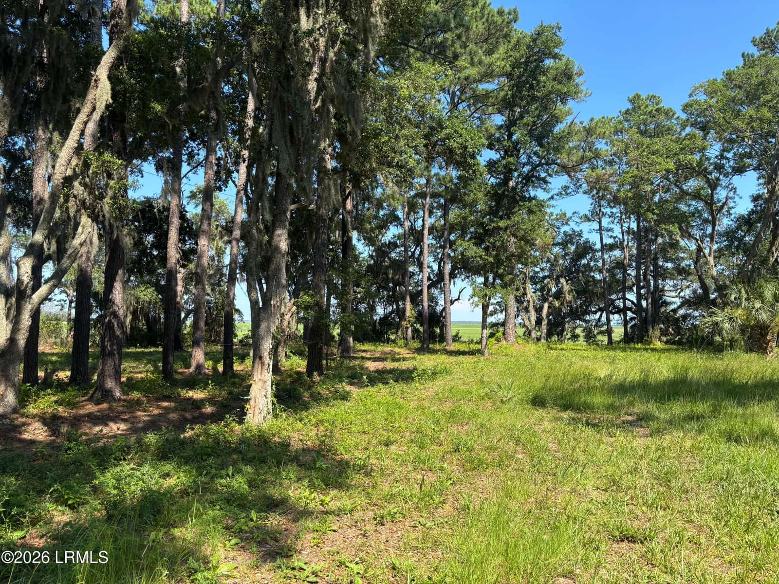 1065 Seaside Road, St. Helena Island, SC 29920 — photo 5 of 31