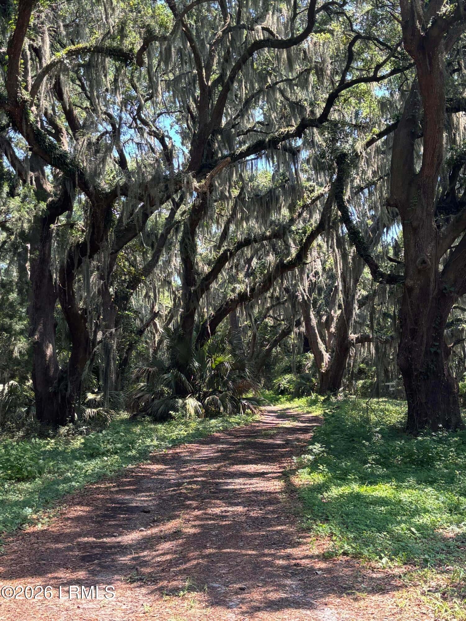 1065 Seaside Road, St. Helena Island, SC 29920 — photo 3 of 31