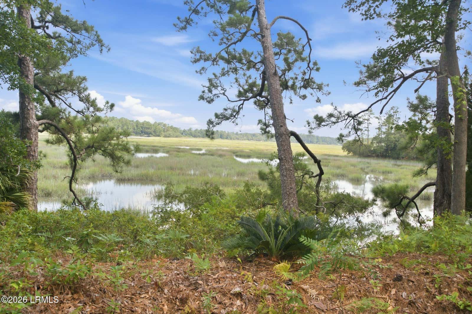 23 Schooner Lane, Bluffton, SC 29909 — photo 44 of 45