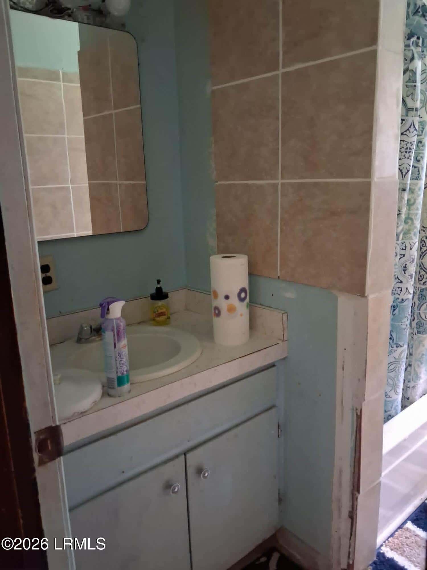 3385 Saint Peters Road, Walterboro, SC 29488 — photo 10 of 23