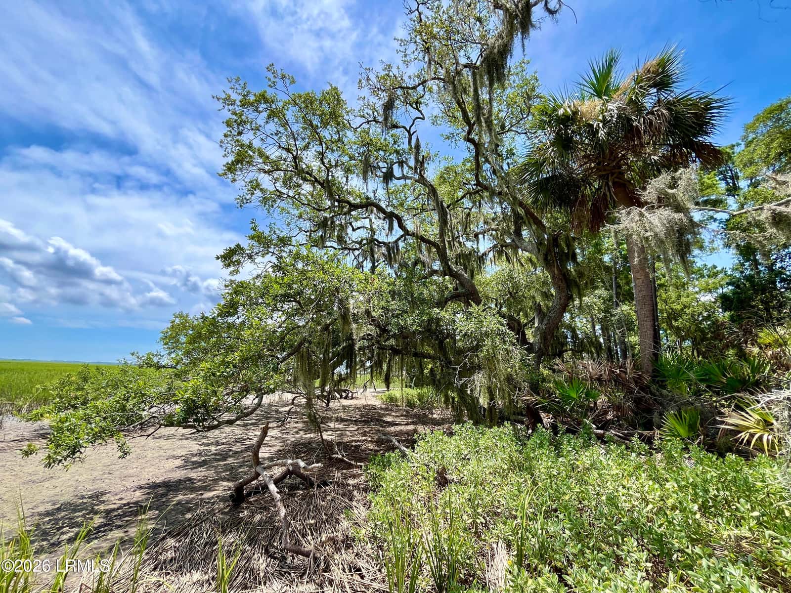 1065 Seaside Road, St. Helena Island, SC 29920 — photo 23 of 31