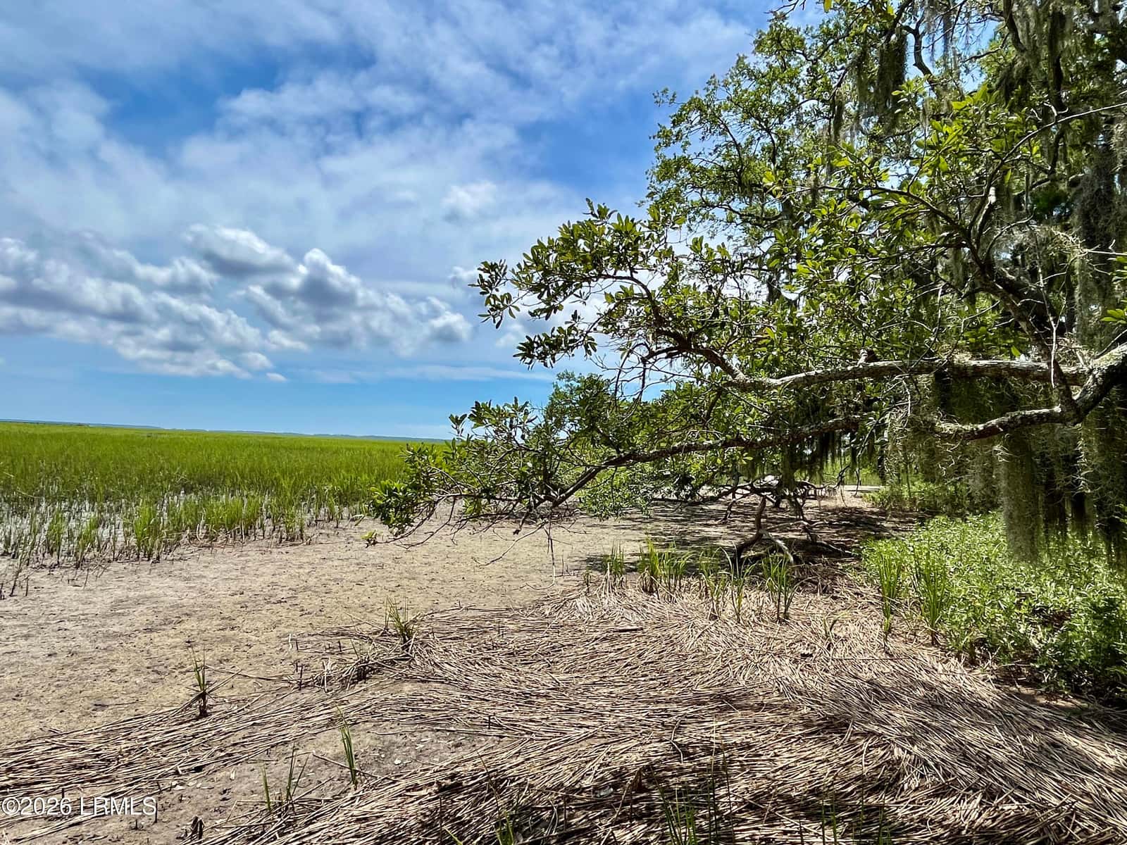 1065 Seaside Road, St. Helena Island, SC 29920 — photo 26 of 31