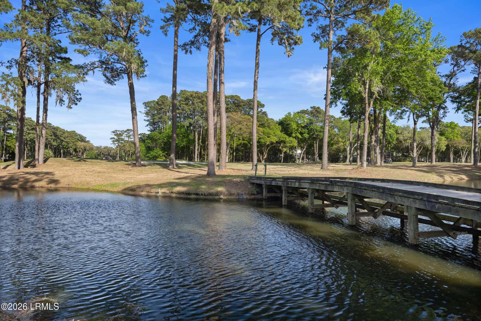 266 Berwick Drive, Hilton Head Island, SC 29926 — photo 36 of 37