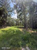 190 Paige Point Road, Seabrook, SC 29940 — photo 10 of 11