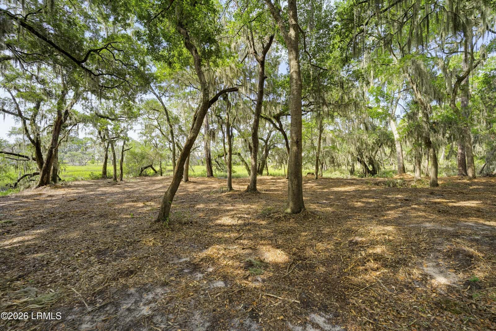 2200 Moss Street, Beaufort, SC 29902 — photo 7 of 40