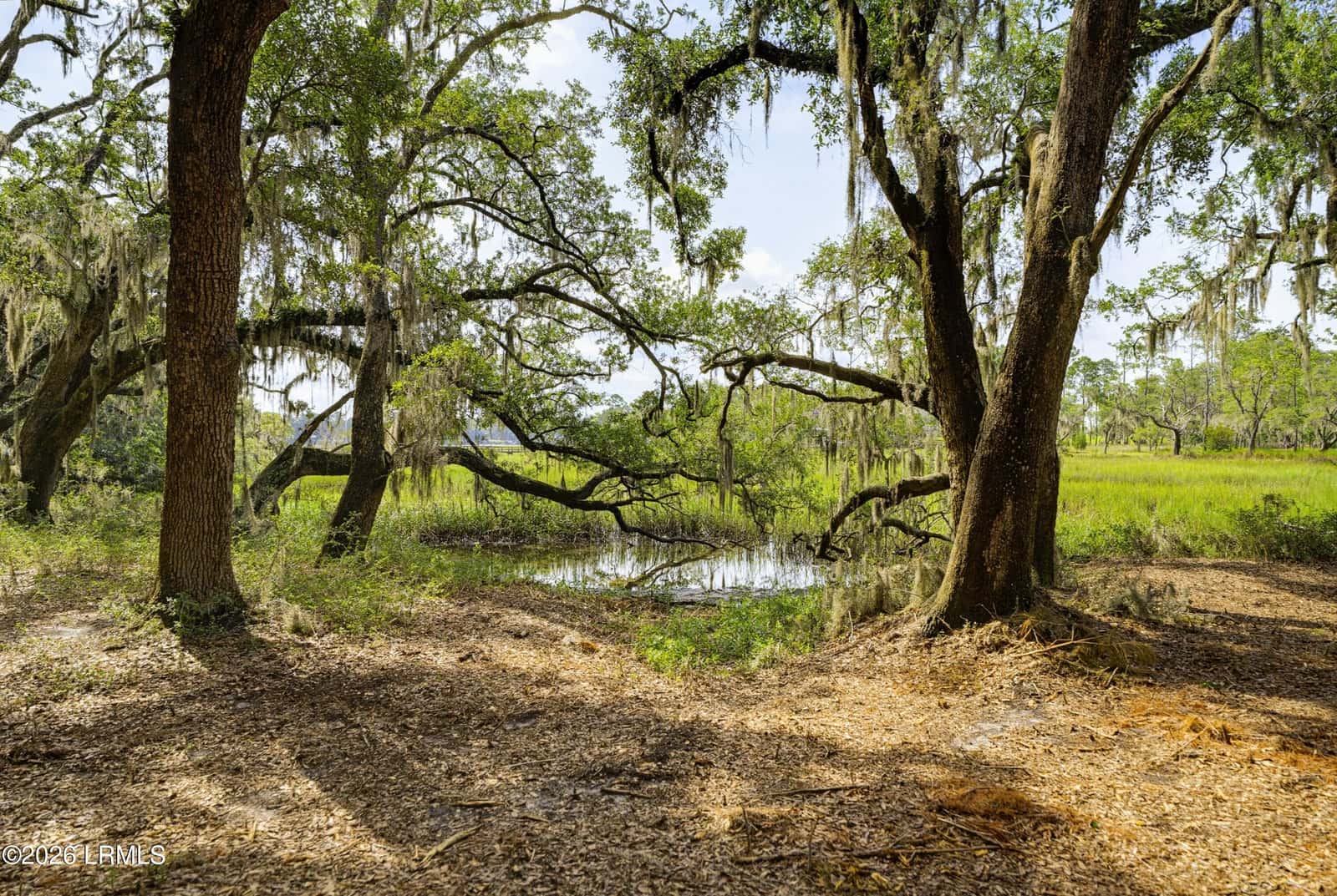 2200 Moss Street, Beaufort, SC 29902 — photo 8 of 40