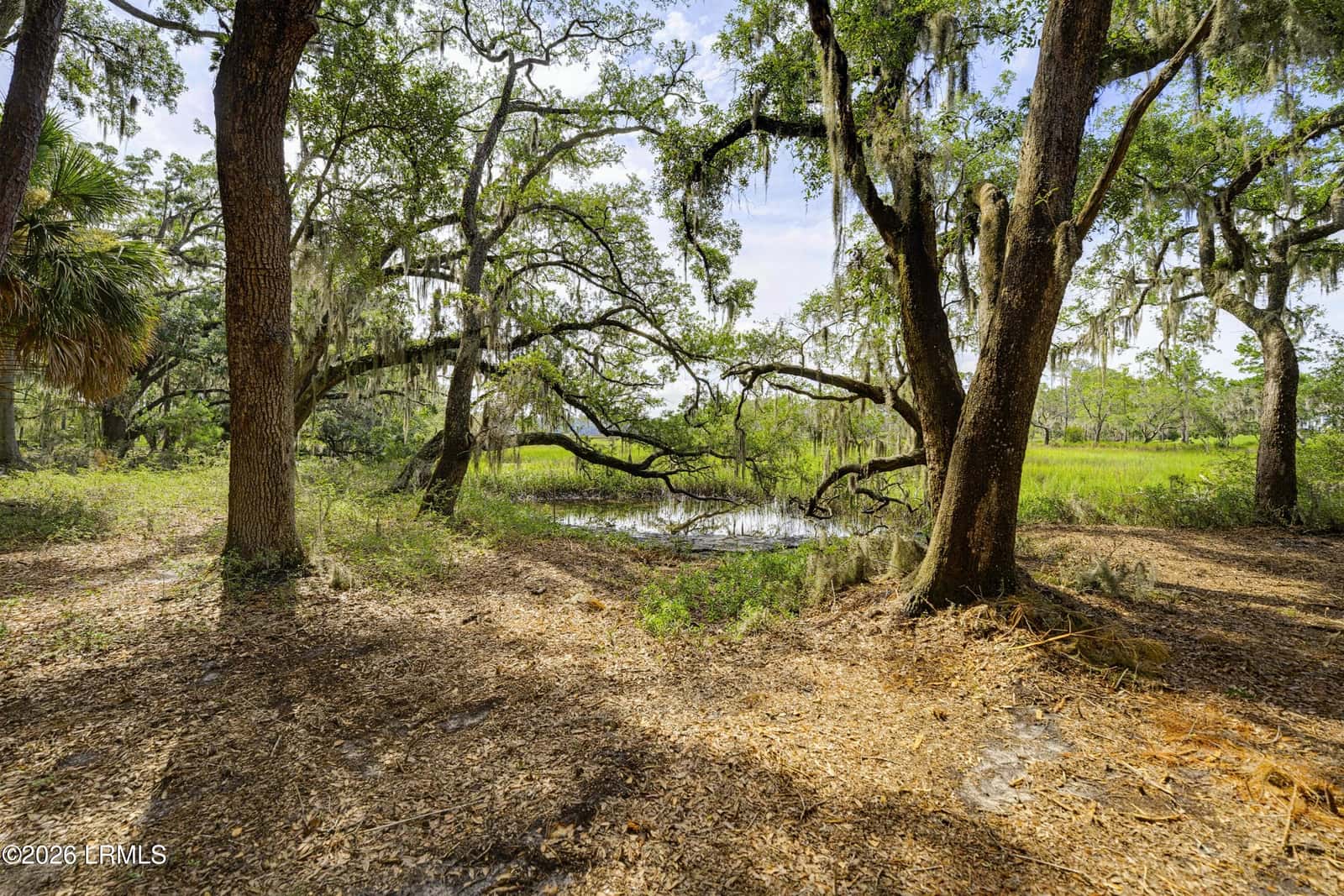 2200 Moss Street, Beaufort, SC 29902 — photo 13 of 40