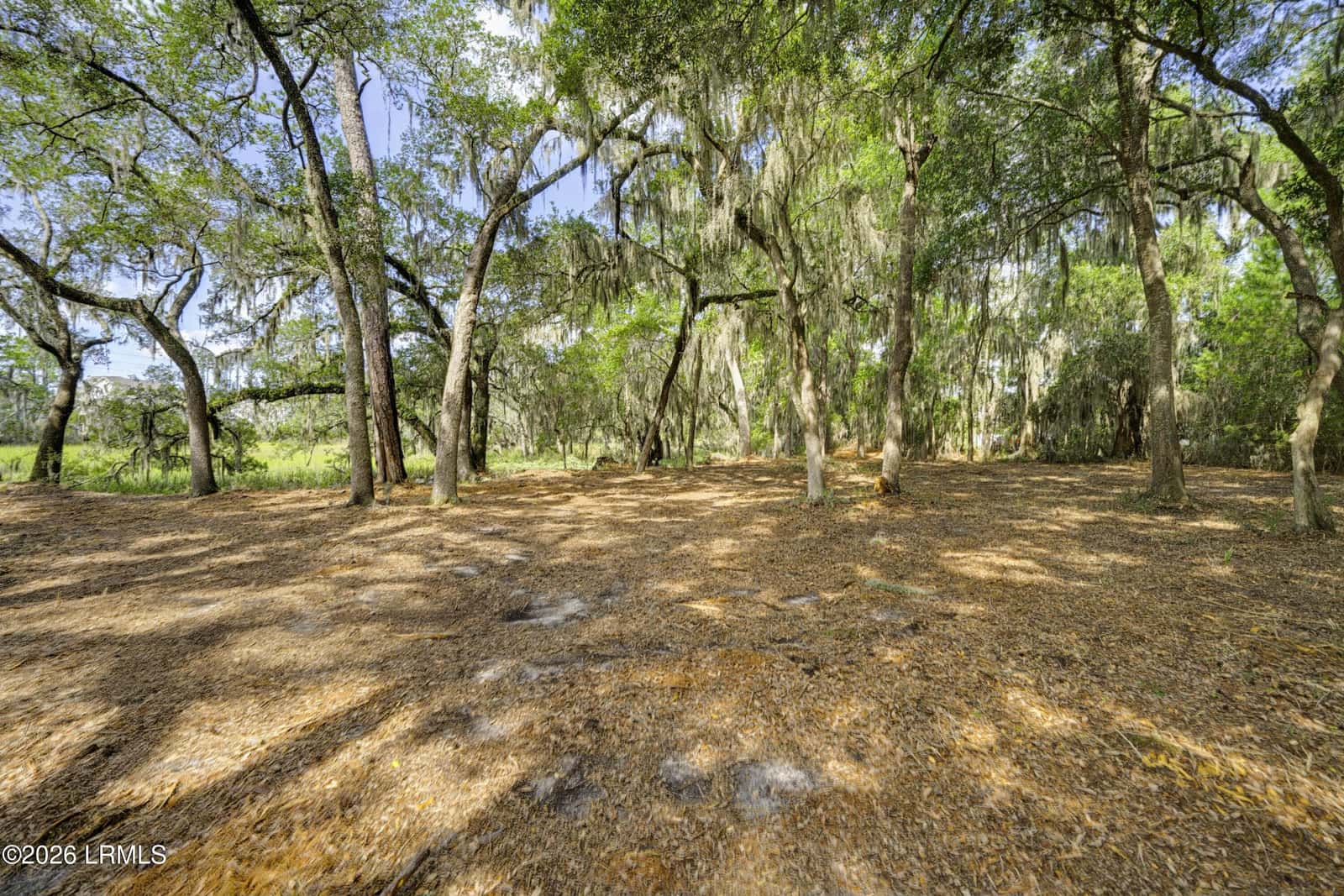 2200 Moss Street, Beaufort, SC 29902 — photo 14 of 40