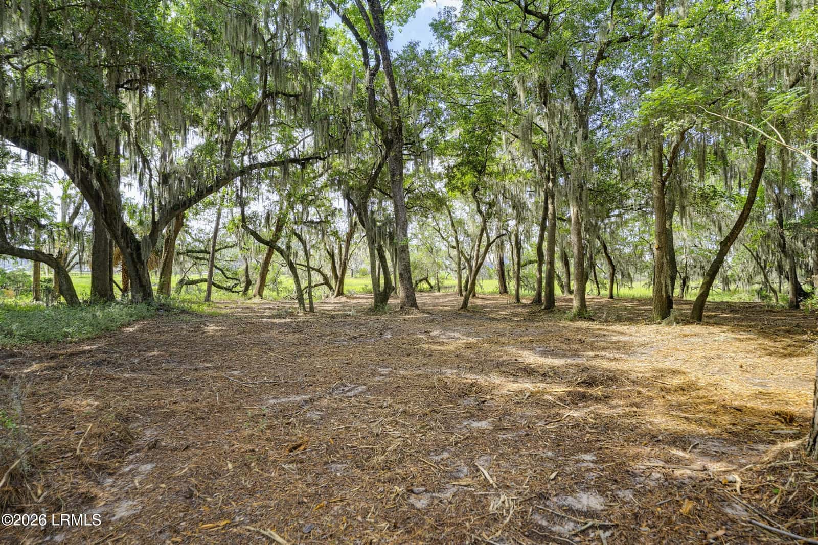 2200 Moss Street, Beaufort, SC 29902 — photo 15 of 40