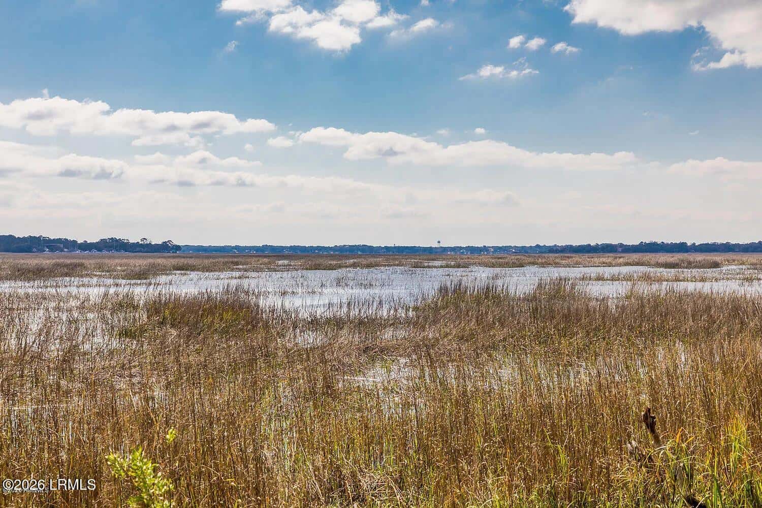 55 Cameroon Drive, Beaufort, SC 29907 — photo 1 of 17