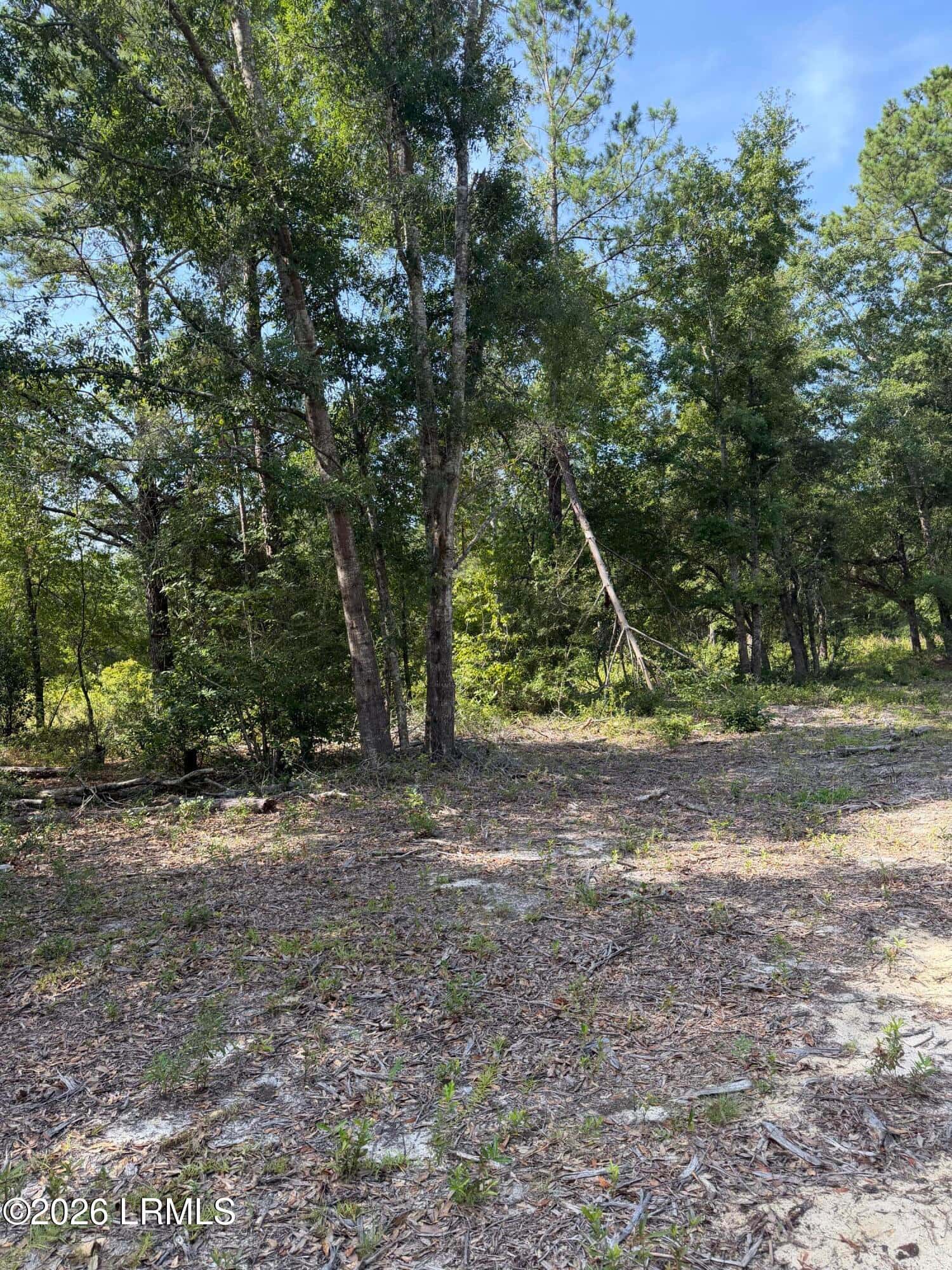 Tbd Bulls End, Ridgeland, SC 29936 — photo 3 of 6
