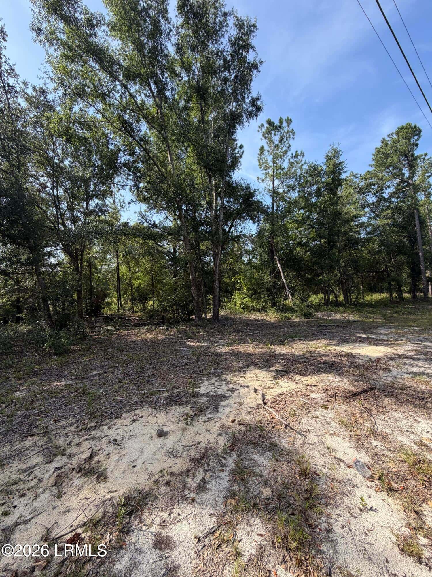 Tbd Bulls End, Ridgeland, SC 29936 — photo 5 of 6