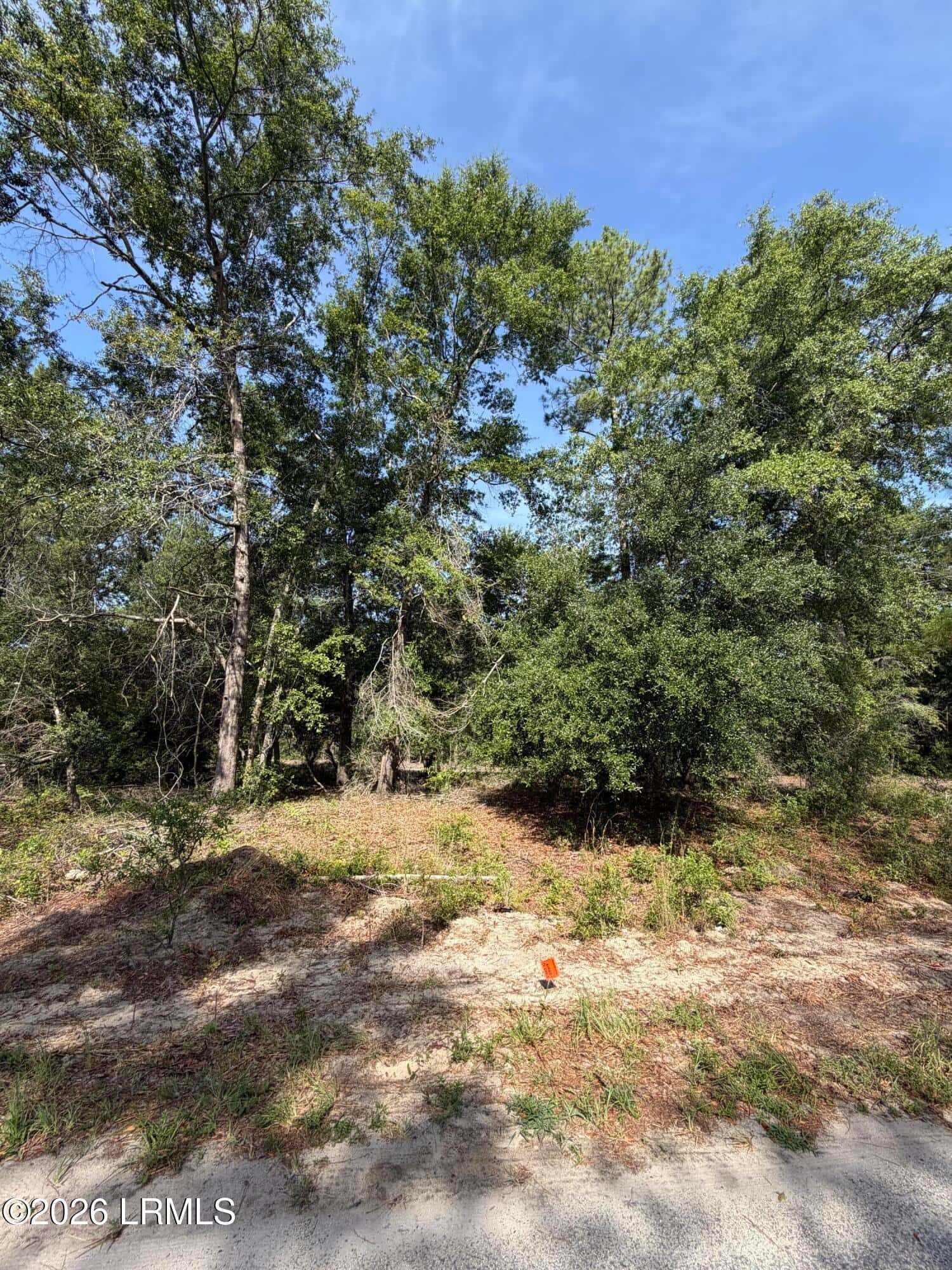 Tbd Bulls End, Ridgeland, SC 29936 — photo 6 of 6