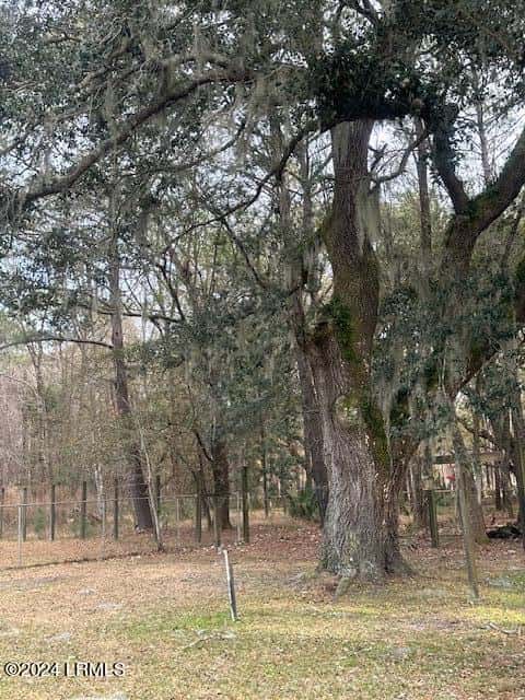 29 Mike Drive, Okatie, SC 29909 — photo 40 of 40