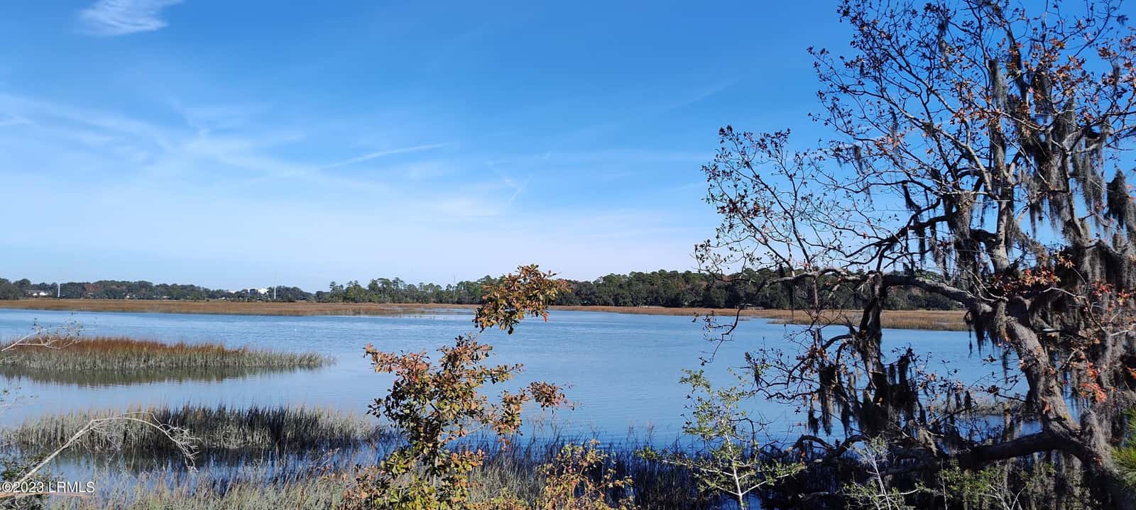 1272 Windswept Oak Lane, Beaufort, SC 29902 — photo 3 of 49