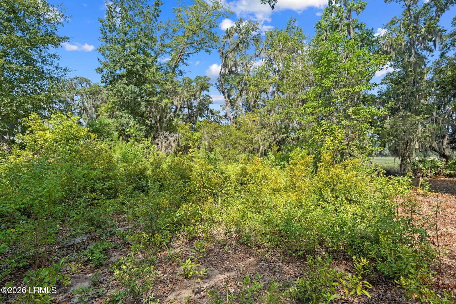 54 Bermuda Inlet Drive, St. Helena Island, SC 29920 — photo 18 of 30