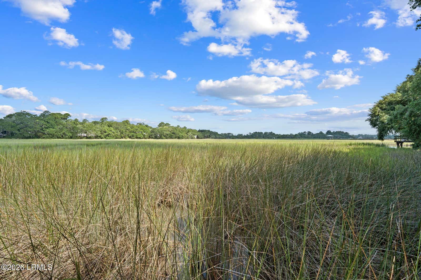 54 Bermuda Inlet Drive, St. Helena Island, SC 29920 — photo 20 of 30