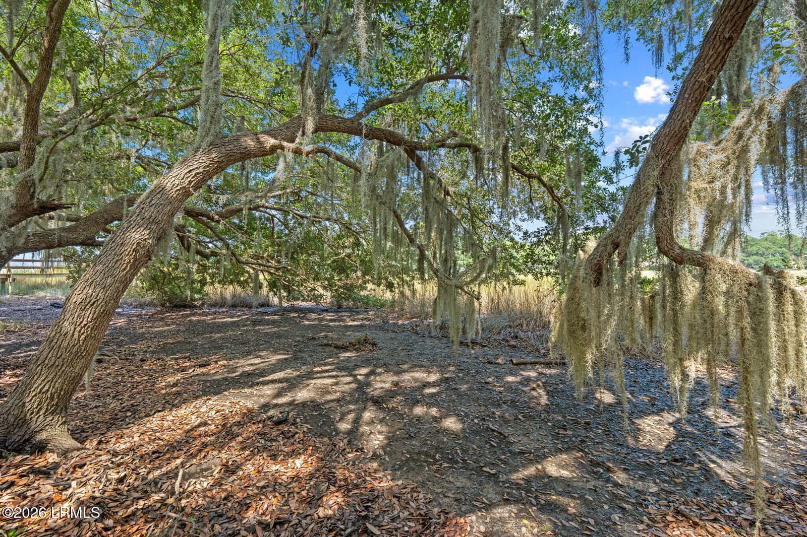 54 Bermuda Inlet Drive, St. Helena Island, SC 29920 — photo 22 of 30