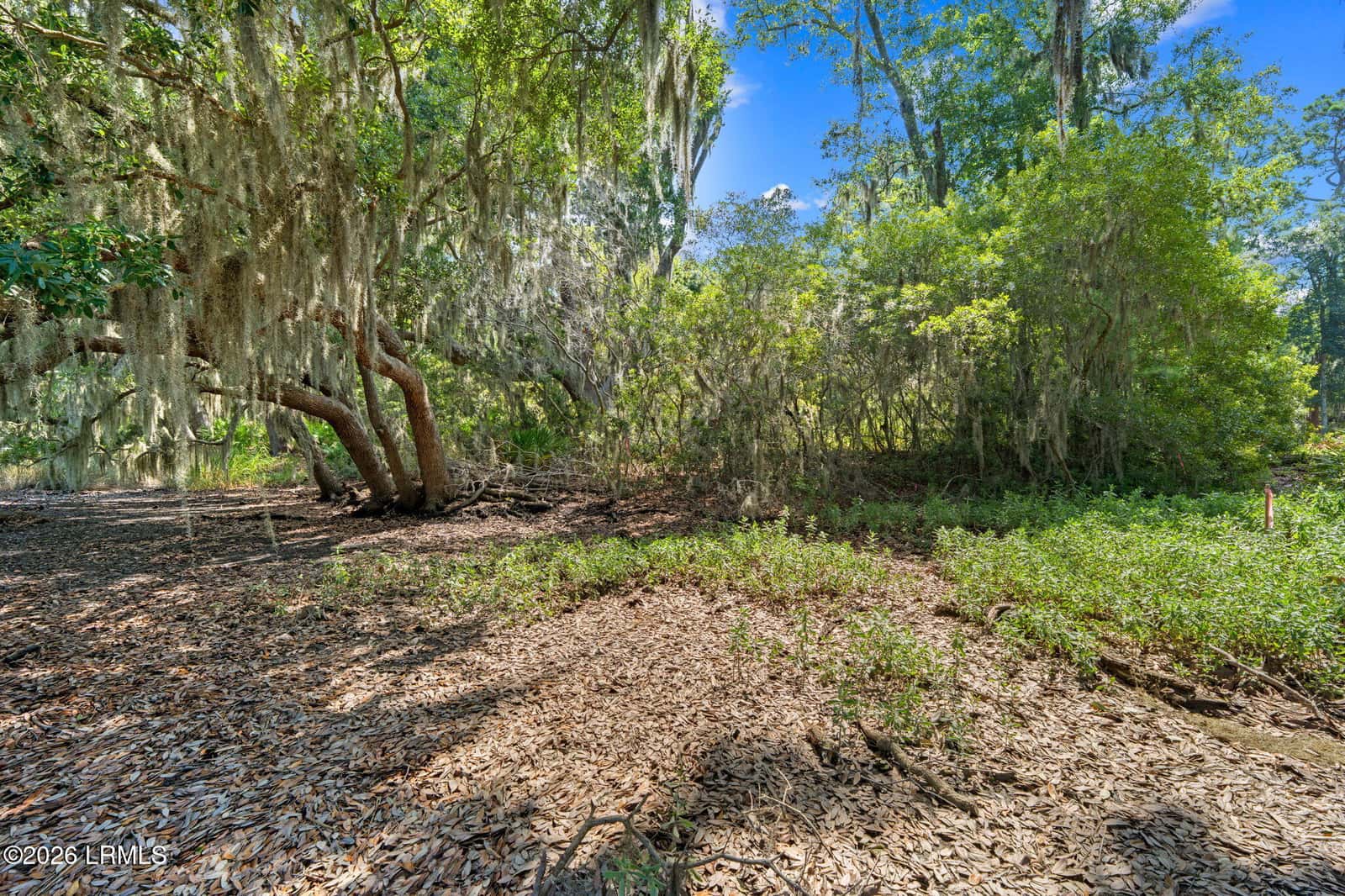 54 Bermuda Inlet Drive, St. Helena Island, SC 29920 — photo 23 of 30