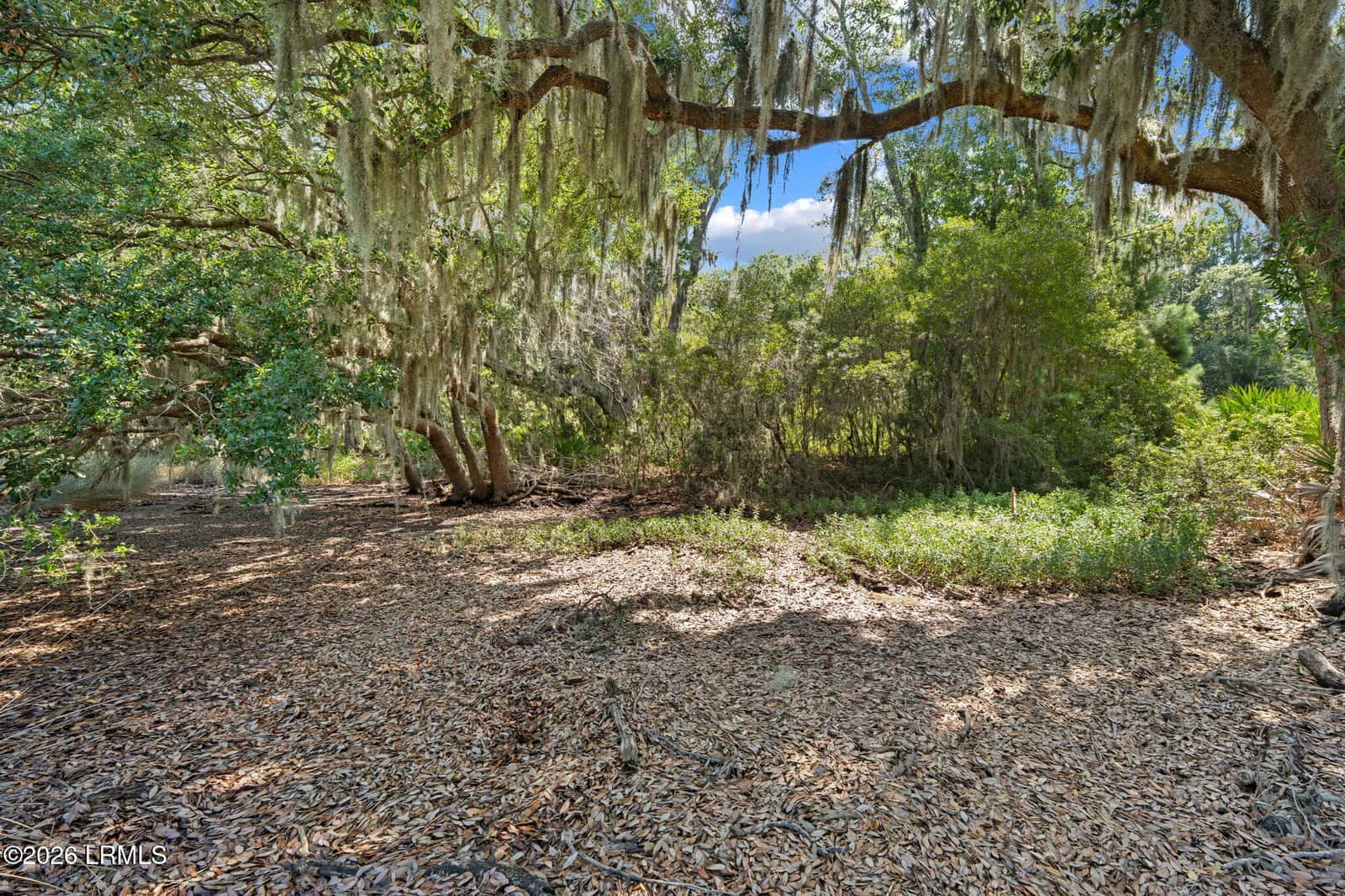 54 Bermuda Inlet Drive, St. Helena Island, SC 29920 — photo 24 of 30