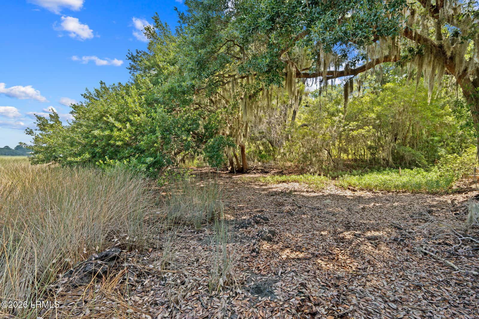 54 Bermuda Inlet Drive, St. Helena Island, SC 29920 — photo 25 of 30