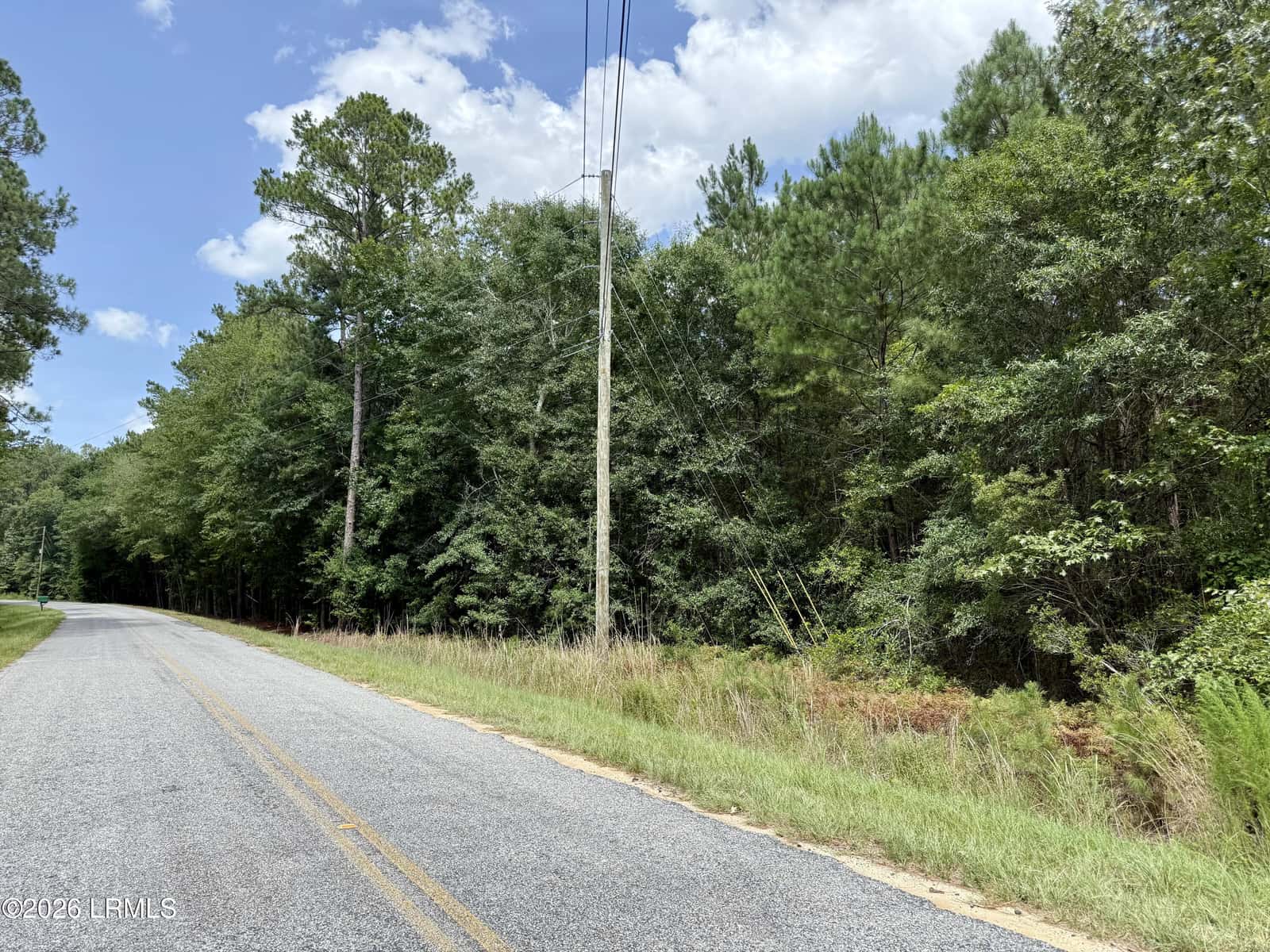 Tbd Cohen Road, Pineland, SC 29934 — photo 1 of 5