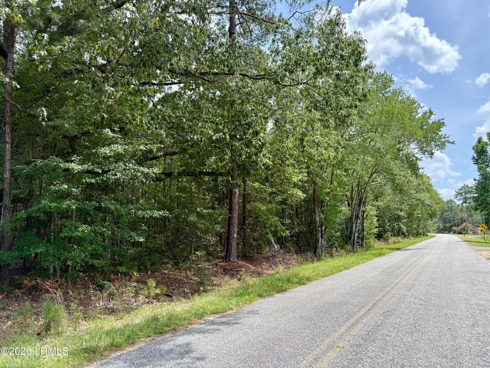 Tbd Cohen Road, Pineland, SC 29934 — photo 4 of 5