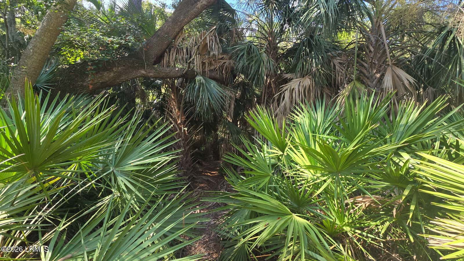 372 Pike Drive, Fripp Island, SC 29920 — photo 15 of 20