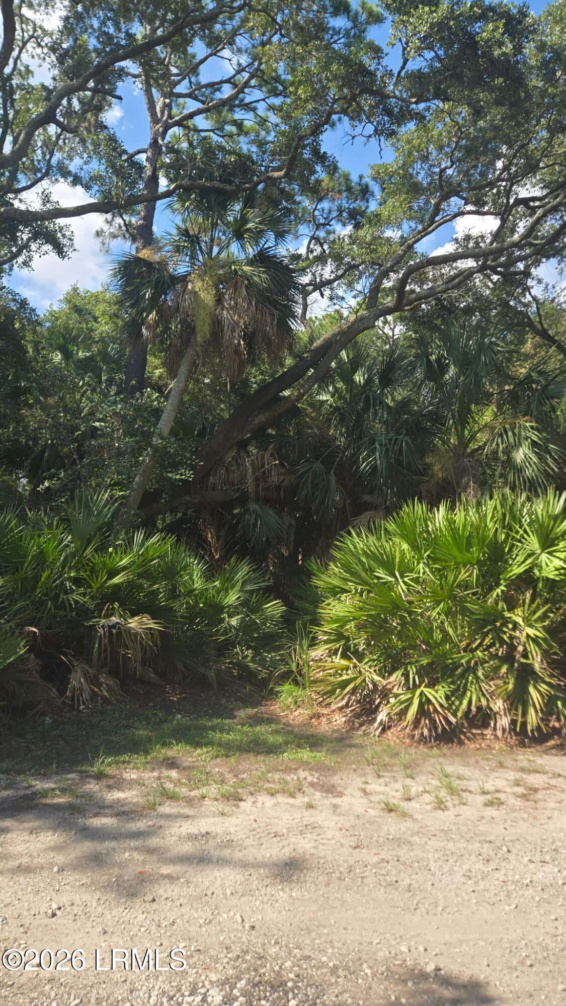372 Pike Drive, Fripp Island, SC 29920 — photo 17 of 20