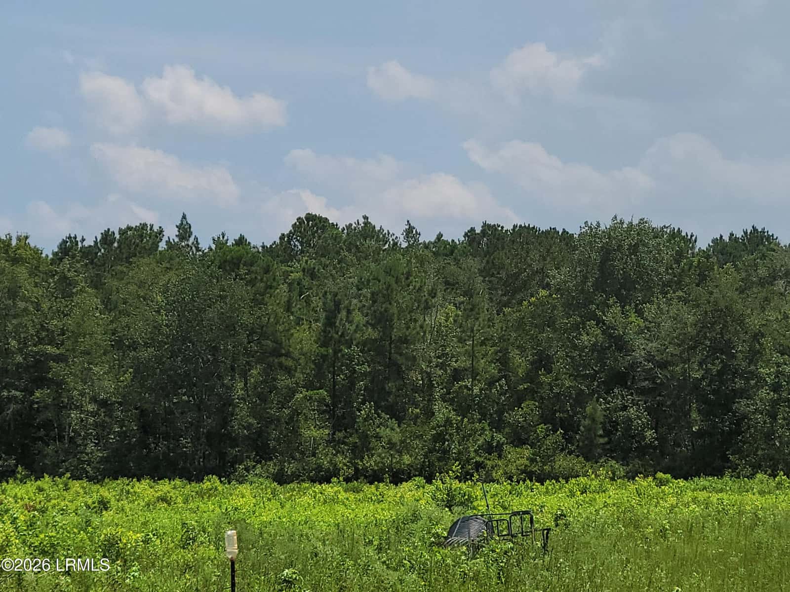 Tbd Toomerville Loop, Hardeeville, SC 29927 — photo 1 of 7