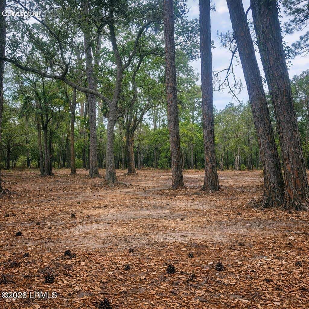 26 Lakeview Lane, St. Helena Island, SC 29920 — photo 13 of 17