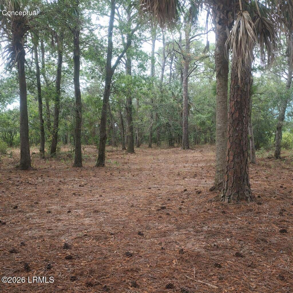26 Lakeview Lane, St. Helena Island, SC 29920 — photo 16 of 17