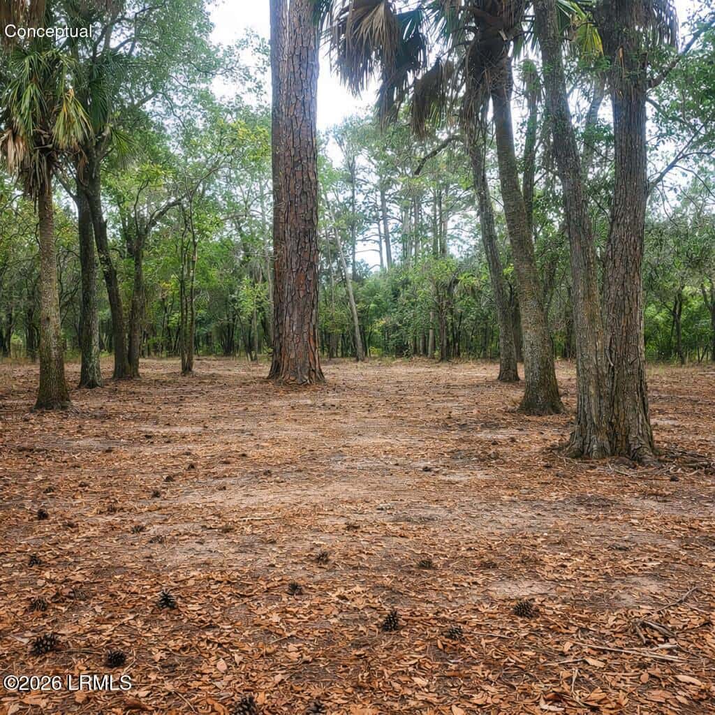 26 Lakeview Lane, St. Helena Island, SC 29920 — photo 14 of 17