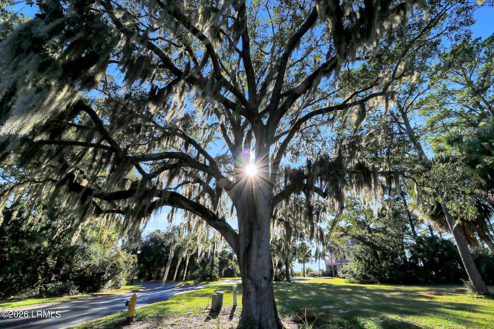 55 Shearwater Drive, Hilton Head Island, SC 29926 — photo 12 of 28