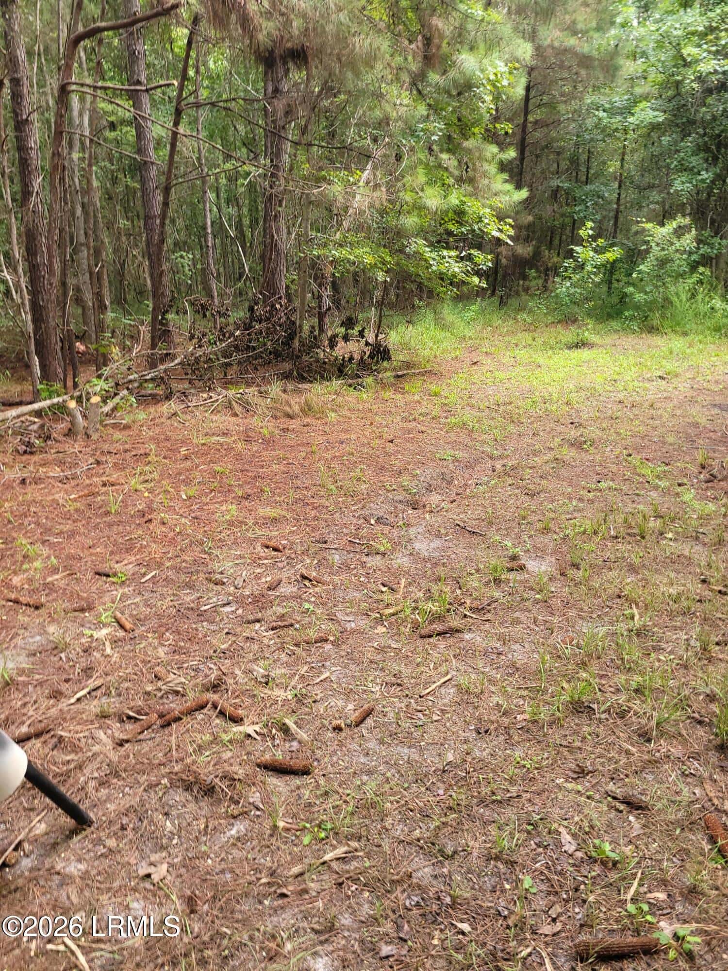 Tbd Toomerville Loop, Hardeeville, SC 29927 — photo 4 of 7