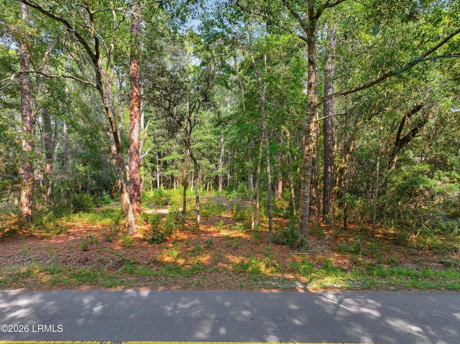 86 Wade Hampton Drive, Beaufort, SC 29907 — photo 4 of 10