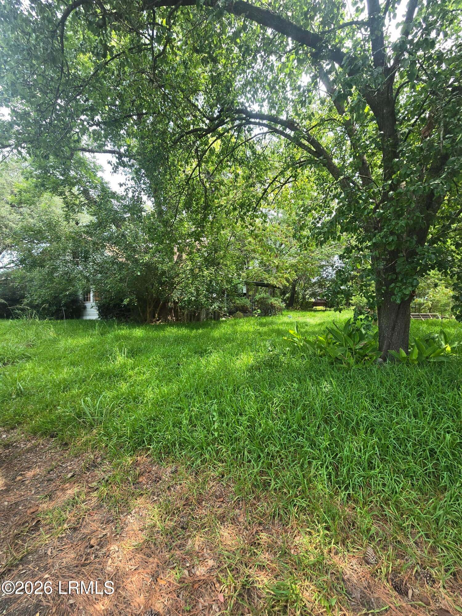 65 Furman Scotia Highway, Estill, SC 29918 — photo 7 of 9