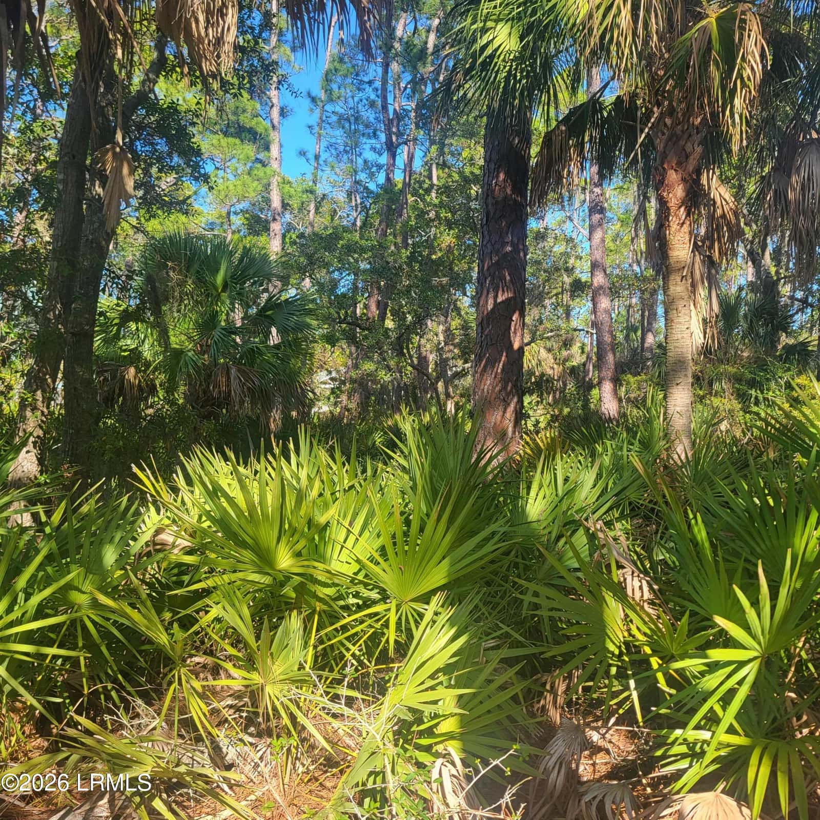 26 Lakeview Lane, St. Helena Island, SC 29920 — photo 5 of 17