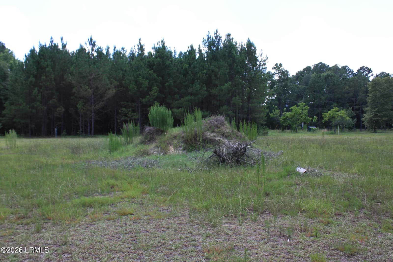3222 Charleston Highway, Varnville, SC 29944 — photo 12 of 44