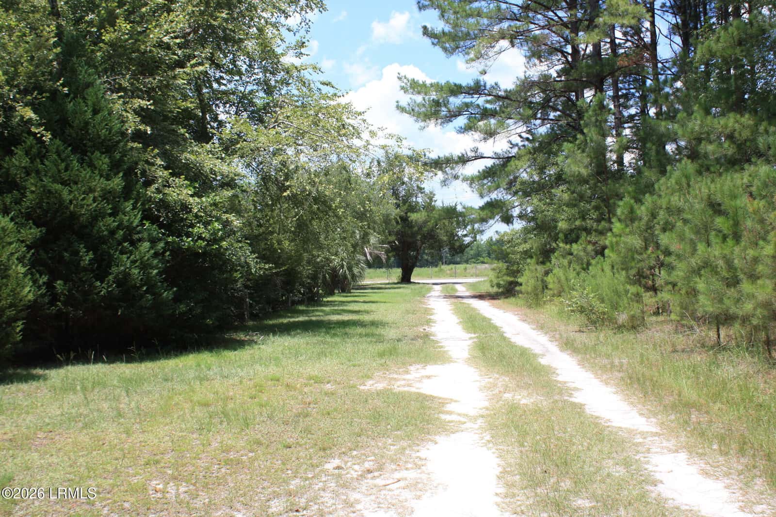 3222 Charleston Highway, Varnville, SC 29944 — photo 15 of 44